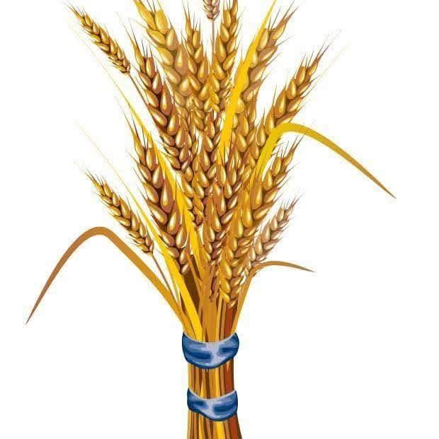 logo-right